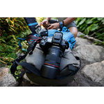 Canon RF 24mm F1.4 L VCM