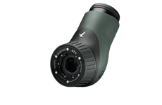 Swarovski Optik ATX Okularmodul (grün)