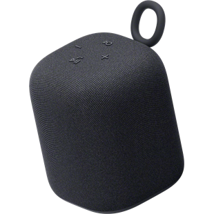 Sony SRS-LS1B Linkbud