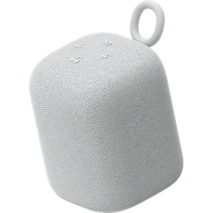 Sony SRS-LS1H Linkbud
