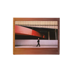 FUJIFILM Instax Wide 10 Blatt Brushed Metallics
