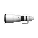 Sigma 300-600mm F4 DG OS Sports (E-Mount) Swiss Garantie