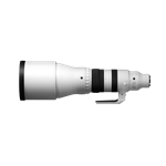 Sigma 300-600mm F4 DG OS | Sports (E-Mount)