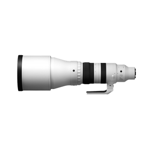 Sigma 300-600mm F4 DG OS Sports (E-Mount) Swiss Garantie