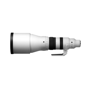 Sigma 300-600mm F4 DG OS Sports (E-Mount) Swiss Garantie Sigma 300-600mm F4 DG OS Sports (E-Mount) Swiss Garantie