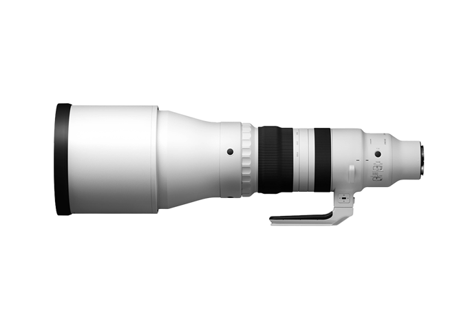 Sigma 300-600mm F4 DG OS Sports (E-Mount) Swiss Garantie