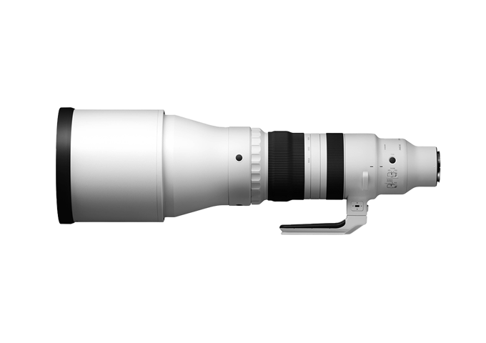 Sigma 300-600mm F4 DG OS | Sports (E-Mount)