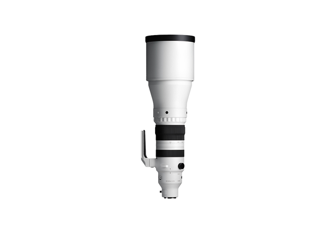 Sigma 300-600mm F4 DG OS Sports (E-Mount) Swiss Garantie