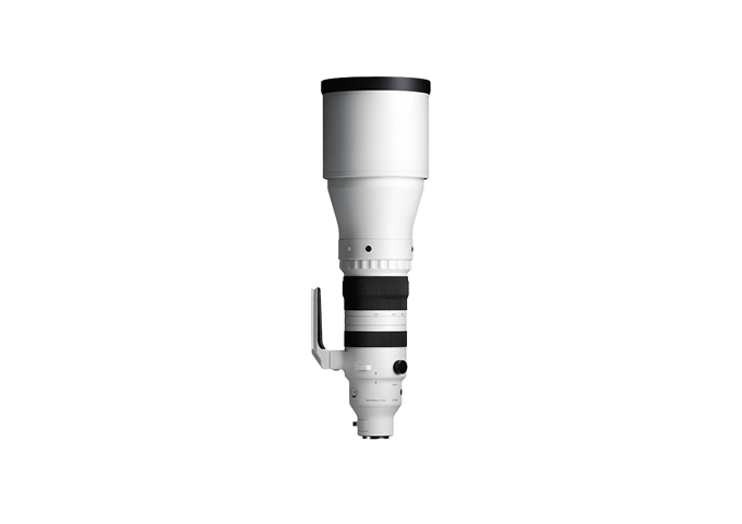 Sigma 300-600mm F4 DG OS | Sports (E-Mount)