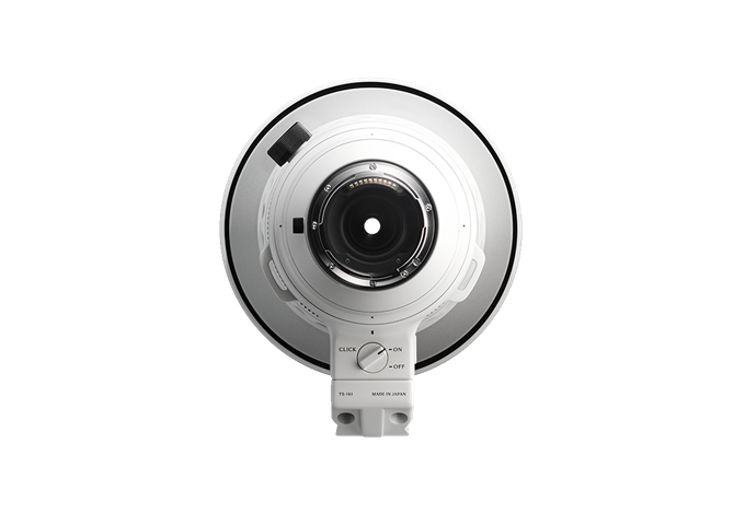 Sigma 300-600mm F4 DG OS | Sports (E-Mount)