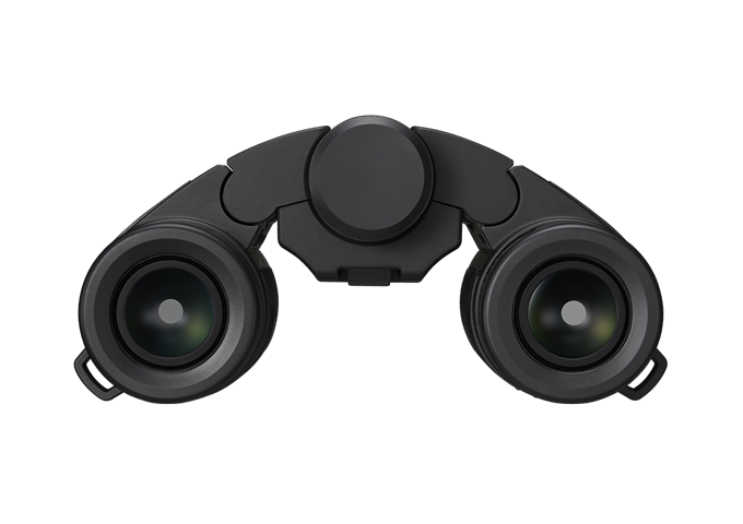 Nikon Stabilized 10x25 S