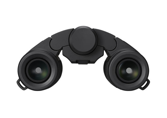 Nikon Stabilized 10x25 S