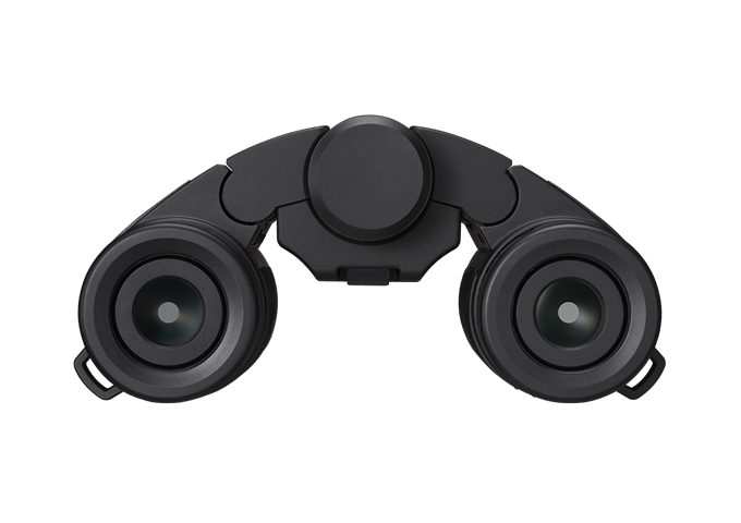 Nikon Stabilized 12x25 S
