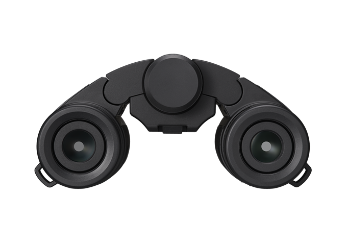 Nikon Stabilized 12x25 S