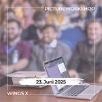 Workshop N586 Wings X