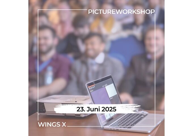 Workshop N586 Wings X