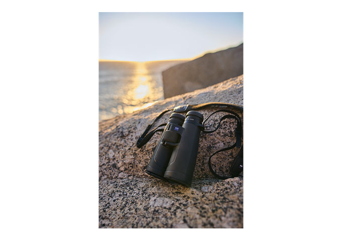 Zeiss Optik SFL 12x50