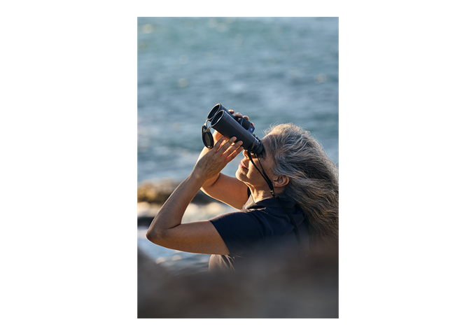 Zeiss Optik SFL 12x50
