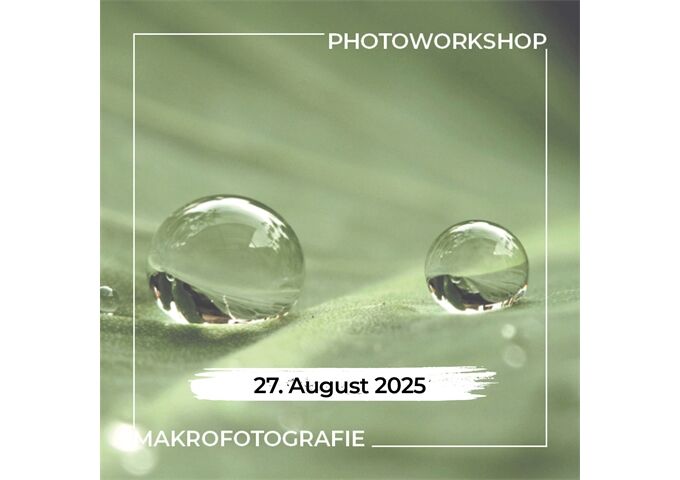 Workshop N632 Makrofotografie