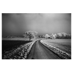 Leica Monopan 50 Typ 14717