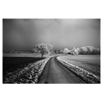 Leica Monopan 50 Typ 14717