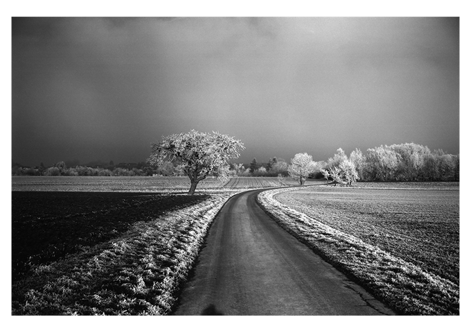 Leica Monopan 50 Typ 14717