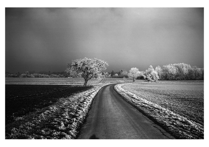Leica Monopan 50 Typ 14717