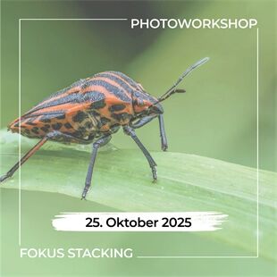 Workshop N649 Fokus Stacking