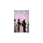 Harman Phoenix II 200 120