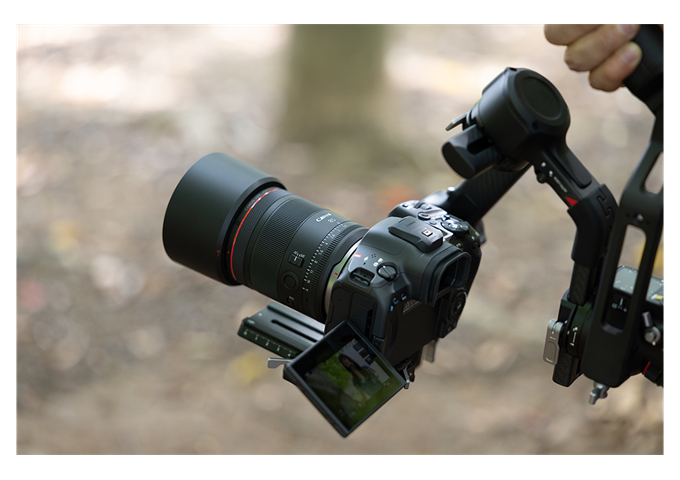 Canon RF 85mm F1.4 L VCM
