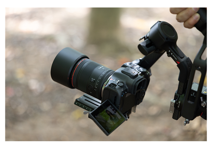 Canon RF 85mm F1.4 L VCM