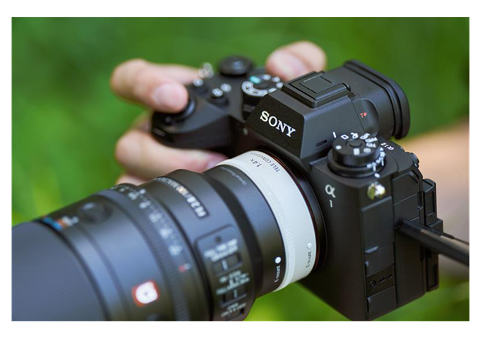 Sony SEL-100M28GM Macro