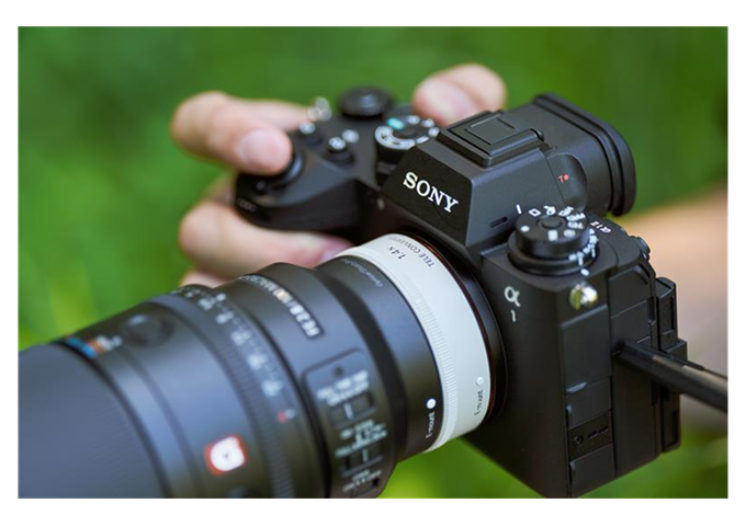 Sony SEL-100M28GM Macro