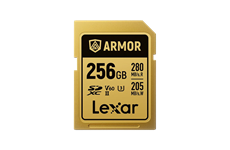 Lexar SDXC Armor Gold 250MB/s 256GB