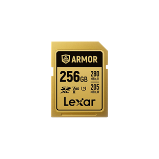 Lexar SDXC Armor Gold 250MB/s 256GB