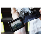 Canon EOS R6 Mark III + RF 24-105mm F4 L IS USM