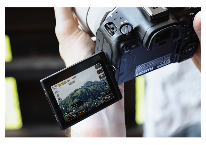 Canon EOS R6 Mark III + RF 24-105mm F4 L IS USM