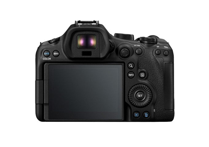 Canon EOS R6 Mark III + RF 24-105mm F4-7.1 IS STM