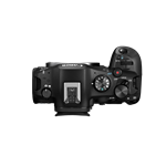 Canon EOS R6 Mark III + RF 24-105mm F4-7.1 IS STM Canon EOS R6 Mark III + RF 24-105mm F4-7.1 IS STM