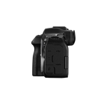Canon EOS R6 Mark III + RF 24-105mm F4-7.1 IS STM