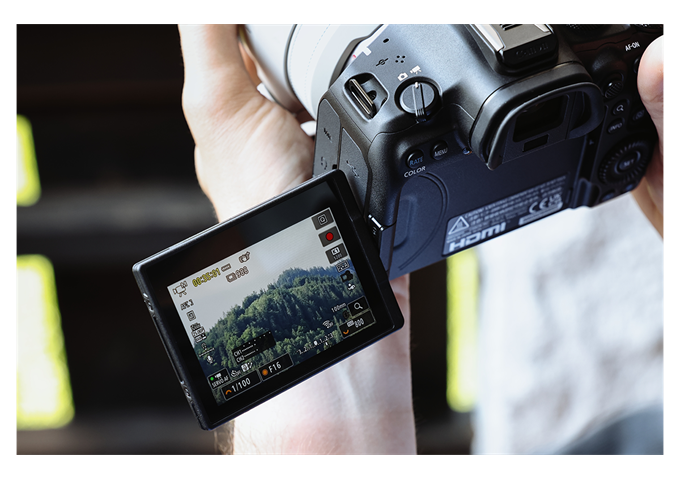 Canon EOS R6 Mark III + RF 24-105mm F4-7.1 IS STM
