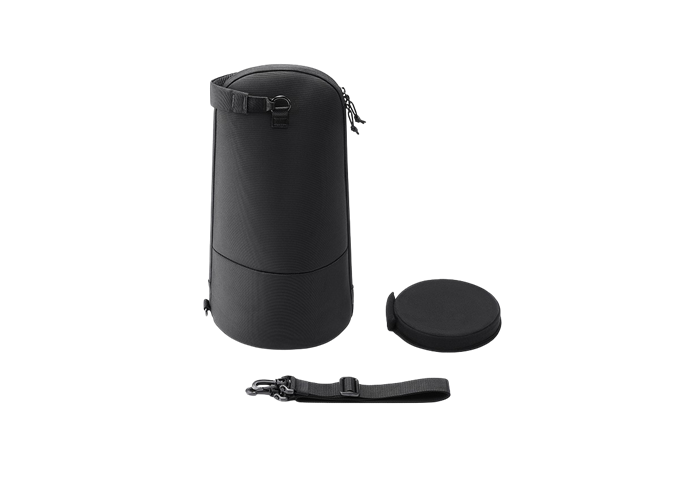 Sony LCS-LTM (Medium)
