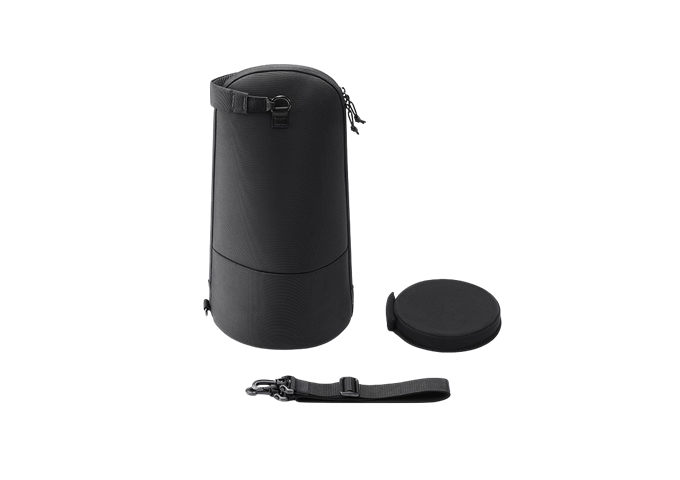 Sony LCS-LTM (Medium)