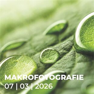 Workshop N695 Makrofotografie