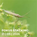 Workshop N707 Fokus Stacking