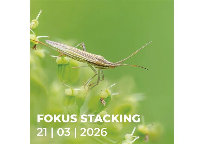 Workshop N707 Fokus Stacking