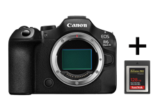 Canon EOS R6 Mark III (schwarz)