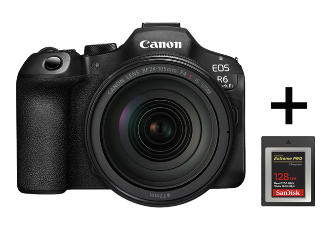 Canon EOS R6 Mark III + RF 24-105mm F4 L IS USM