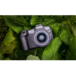 Canon EOS R8 + RF 24-50mm F4.5-6.3