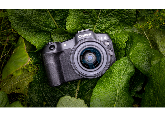 Canon EOS R8 + RF 24-50mm F4.5-6.3